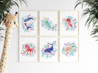 Sea Life Nursery Prints - Dolly and Fred Designs